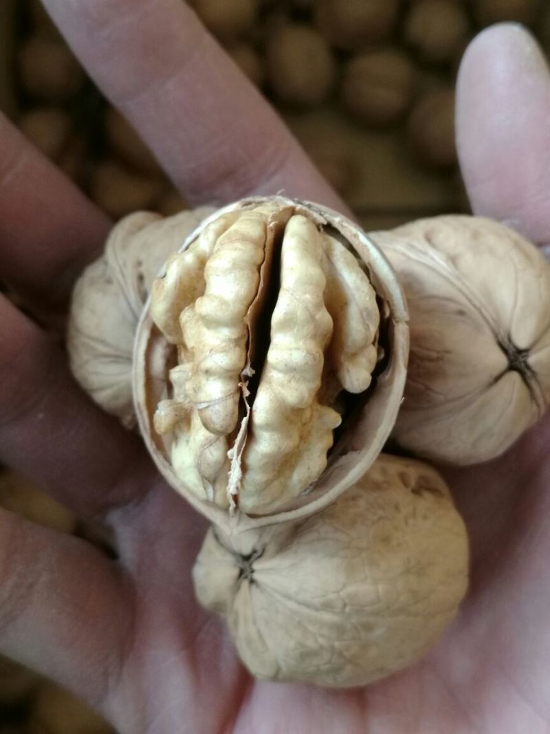 薄皮核桃30mm以上去皮干