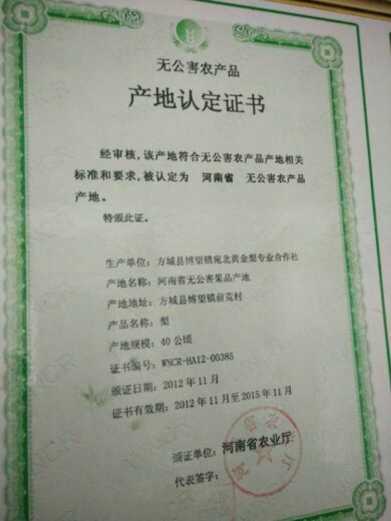 黄金梨200~250g纸袋