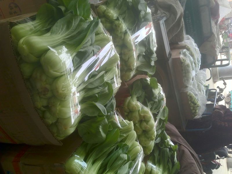 我处小油菜量大从优，需要的联系我
