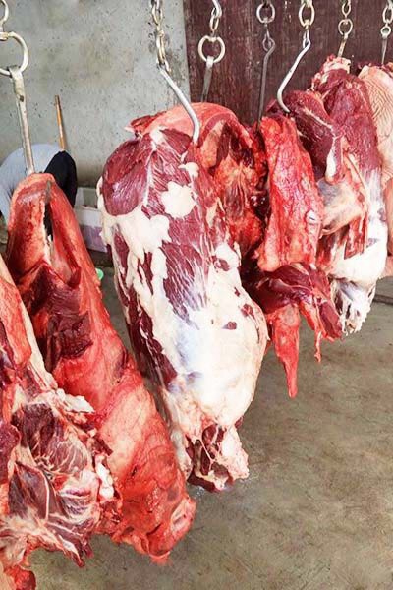 驴肉
