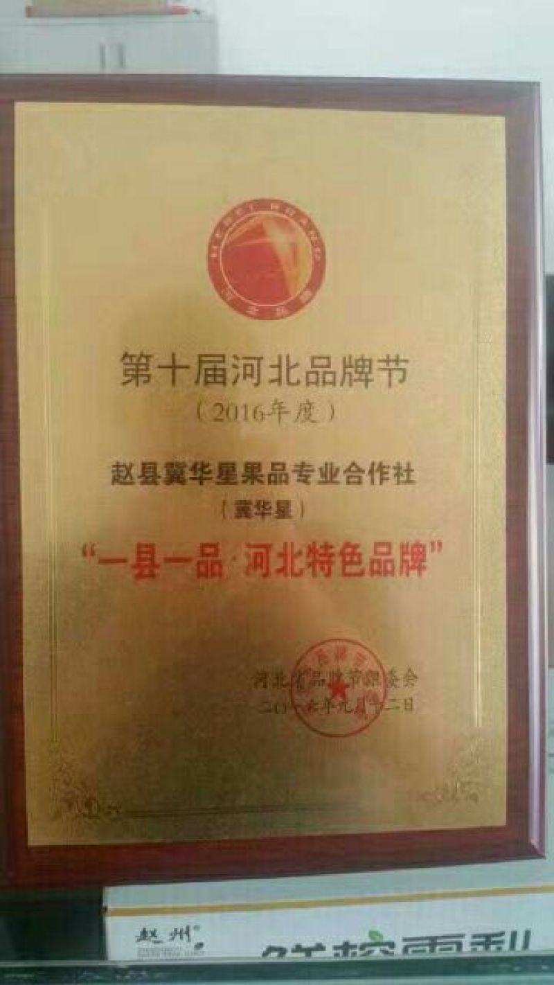 雪花梨450~500g纸箱