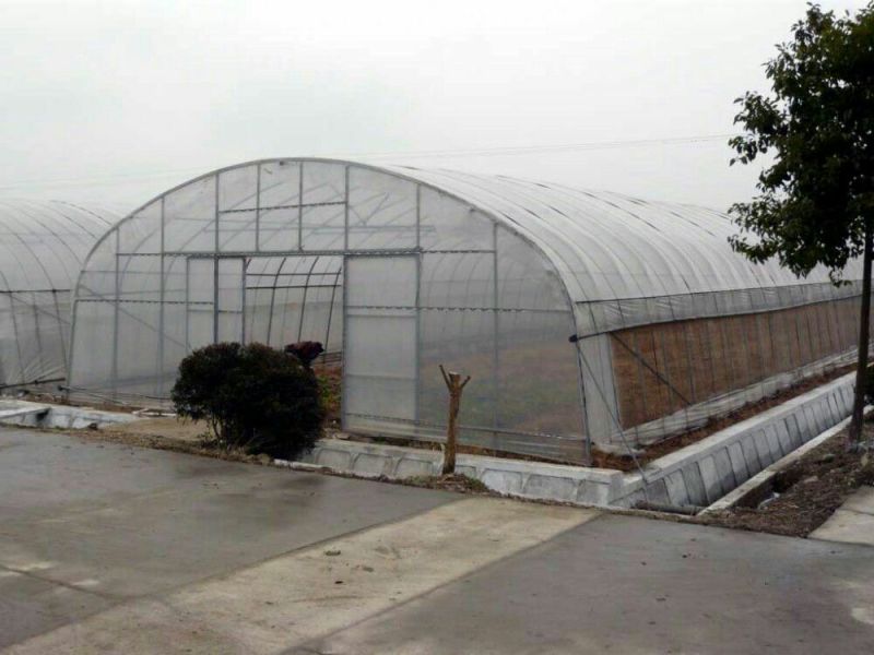 钢架大棚蔬菜大棚温室大棚