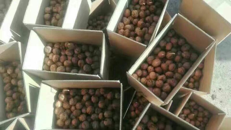 薄皮核桃30mm以上去皮干