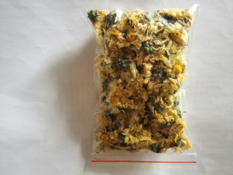 杭州白菊散装