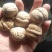 薄皮核桃40mm以上去皮干