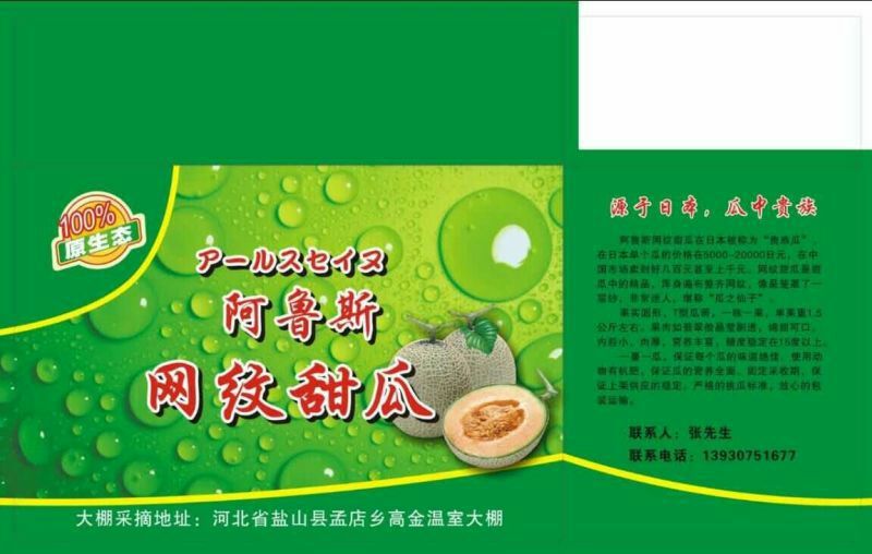 网纹瓜3斤以上椭圆形