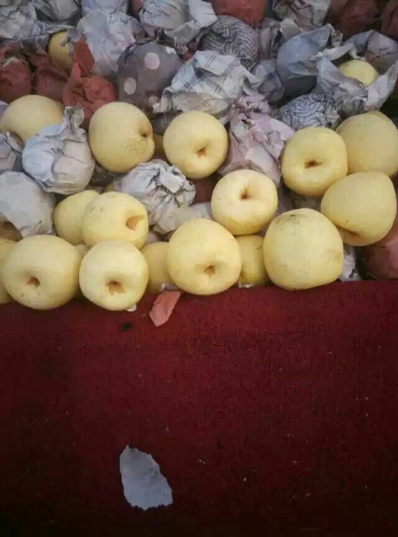 蒲城酥梨纸箱