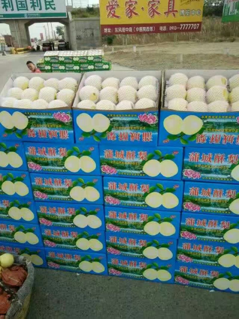 贡梨纸箱