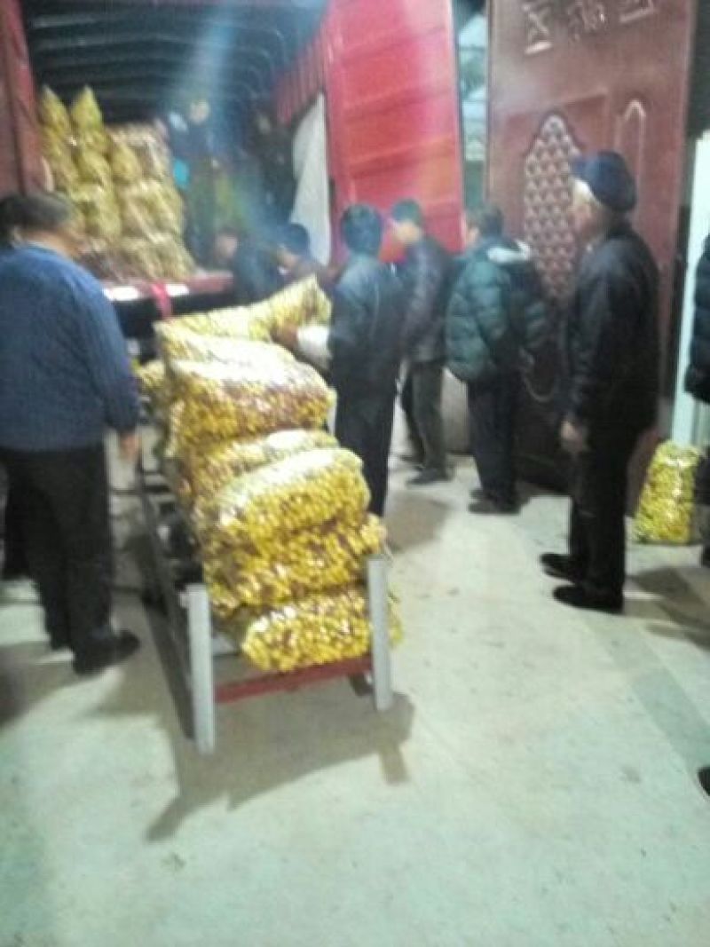 沾化冬枣拐三，电商对接一件代发，供应全国市场电商