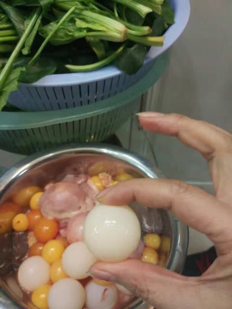 黄沙鳖