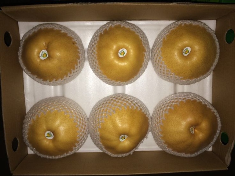 晚秋黄梨