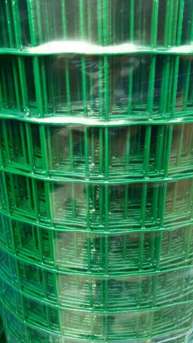 荷兰网