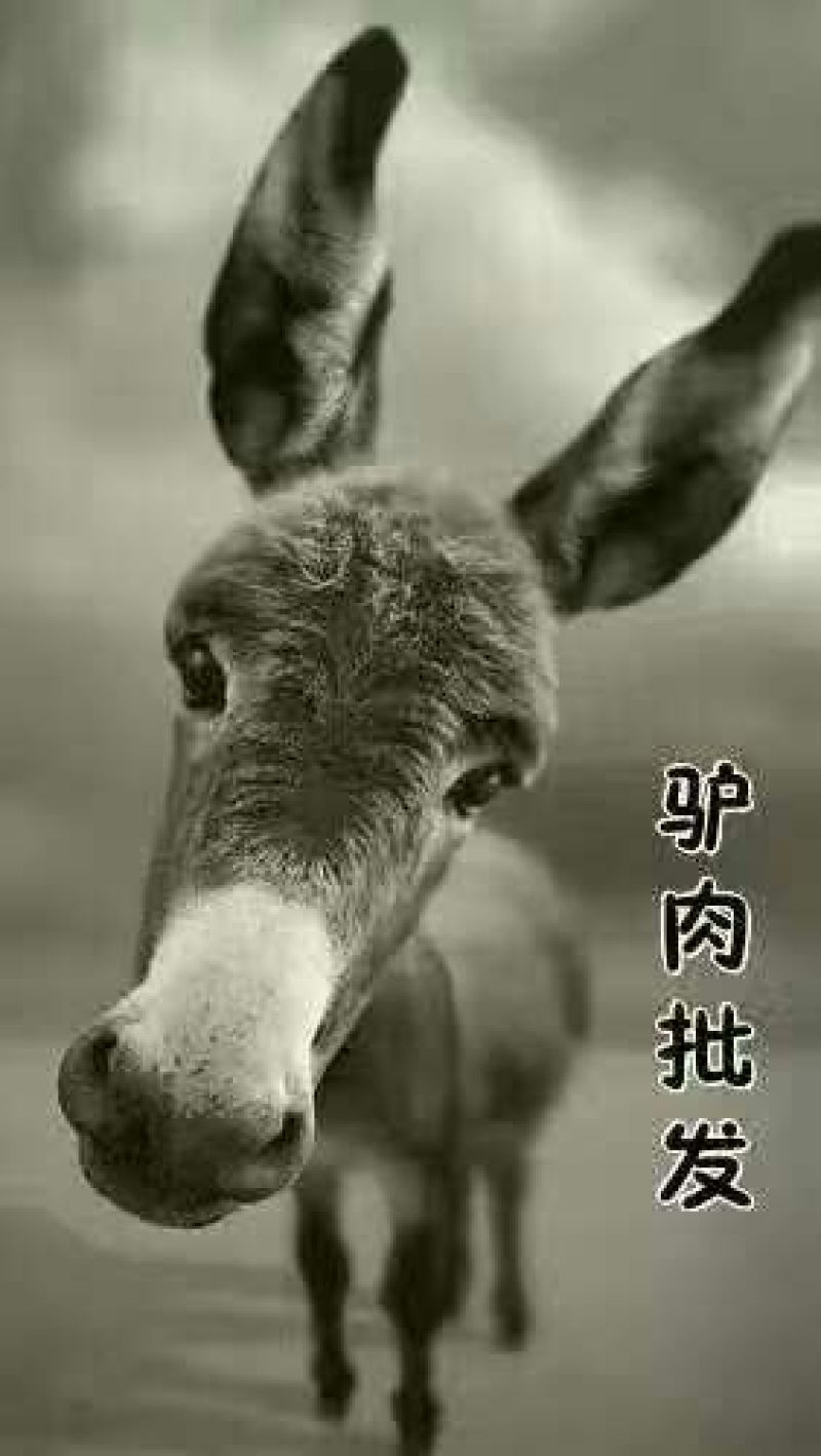驴肉鲜货