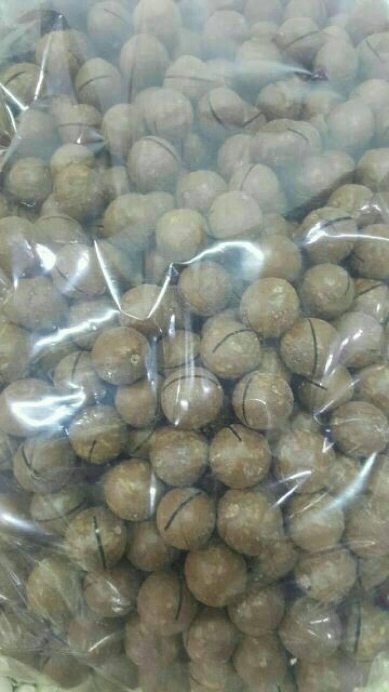夏威夷果带壳
