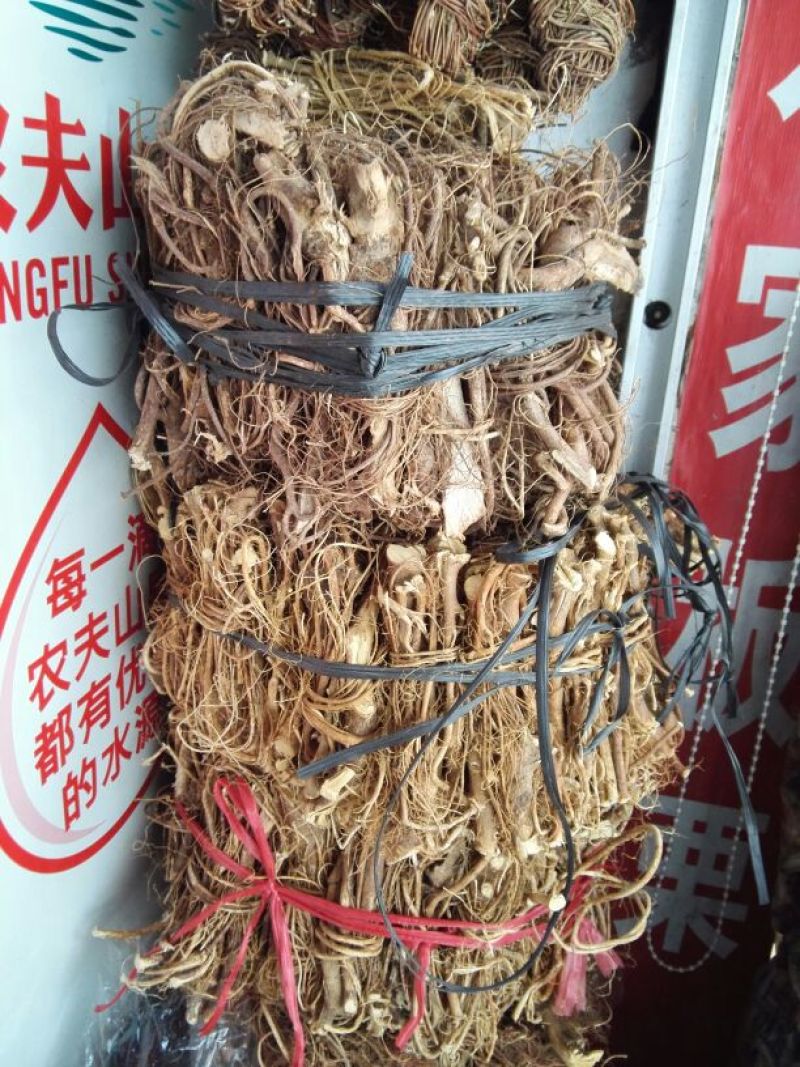 五指毛桃中根