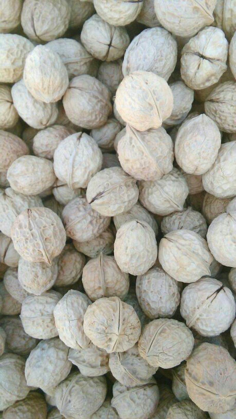 薄皮核桃去皮