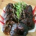 乌鲤食用2两