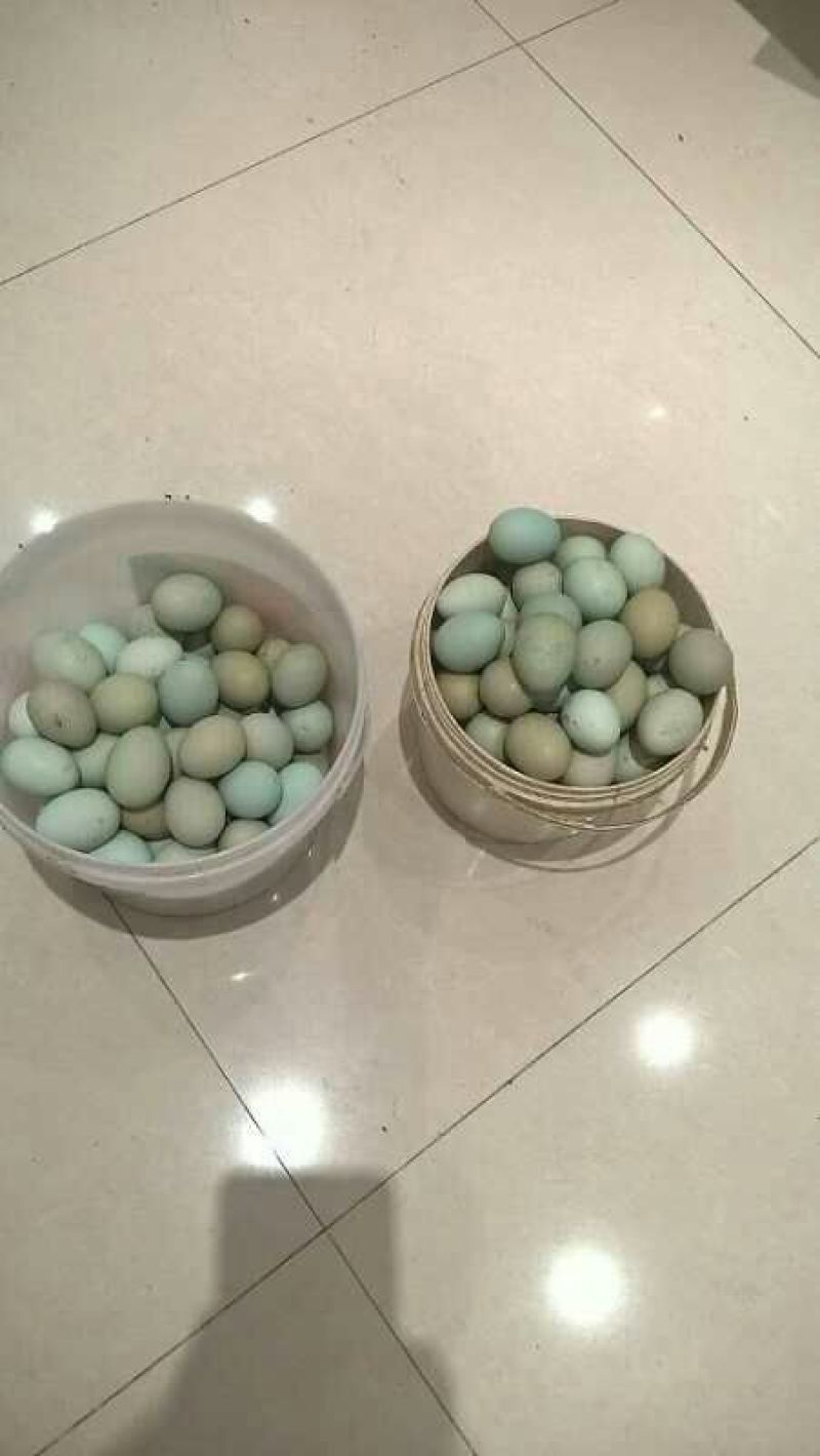 绿壳鸡蛋食用50g以下