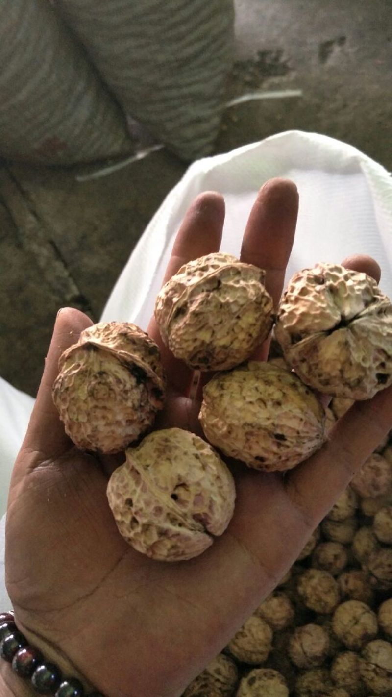 云南薄皮大泡核桃个大皮薄饱满香脆产地直销