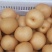 丰水梨350~400g纸袋