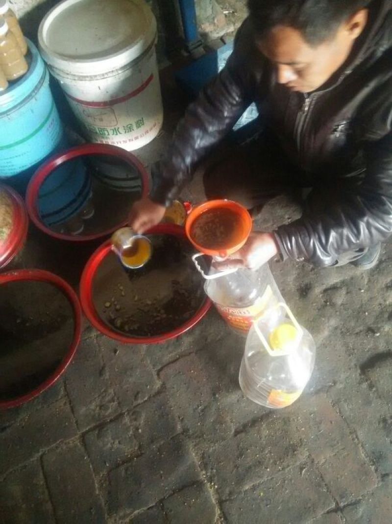 菜油一级