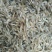 河虾活虾26~30只/kg