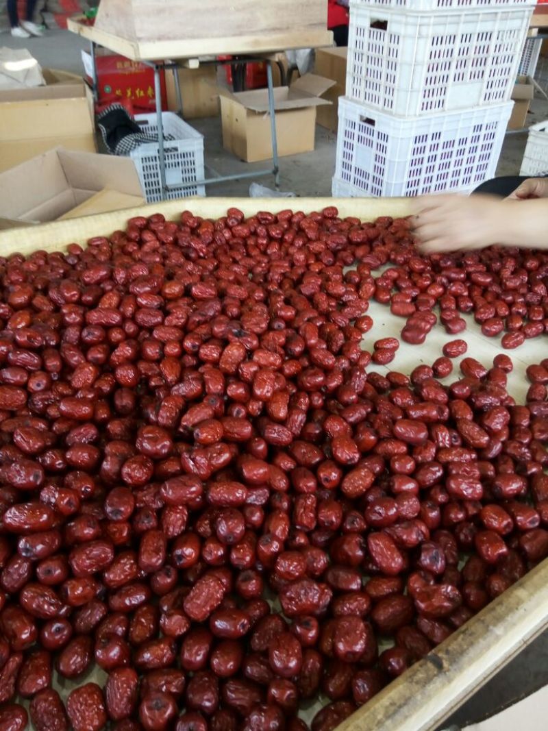 若羌红枣一级干枣核小肉质饱满厂家直发没有中间商
