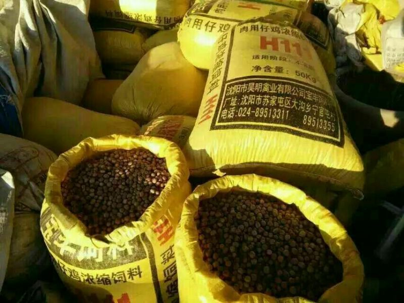 圆形榛子特级