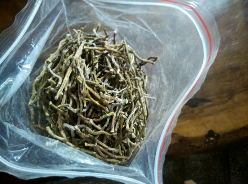 普洱茶