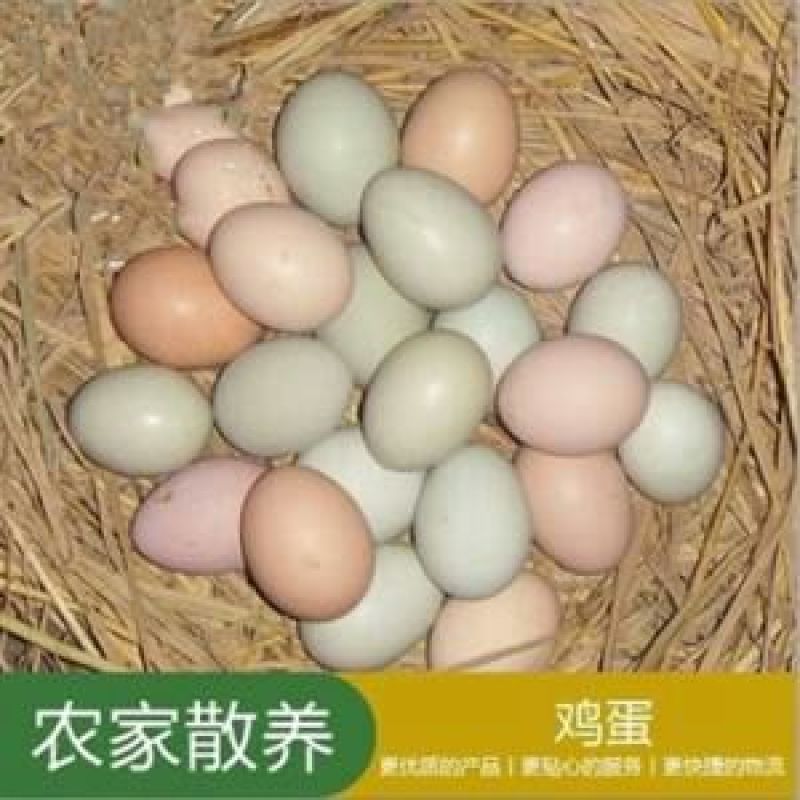 土鸡蛋食用40~50g