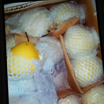 雪花梨250~300g纸袋