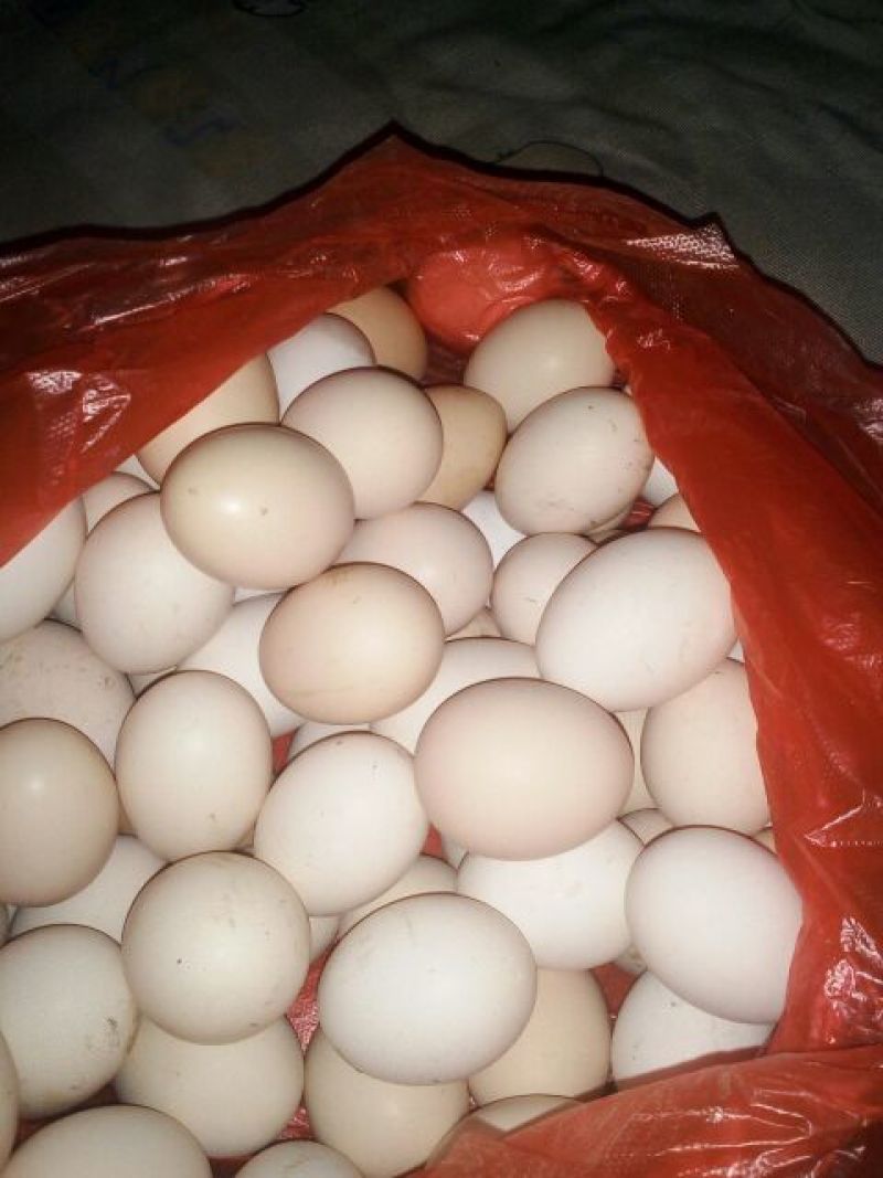 土鸡蛋食用50~60g