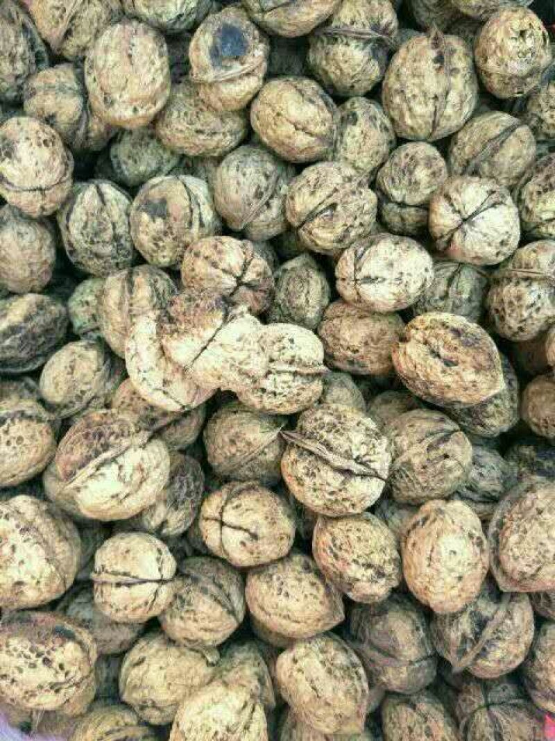 薄皮核桃30mm以上去皮干