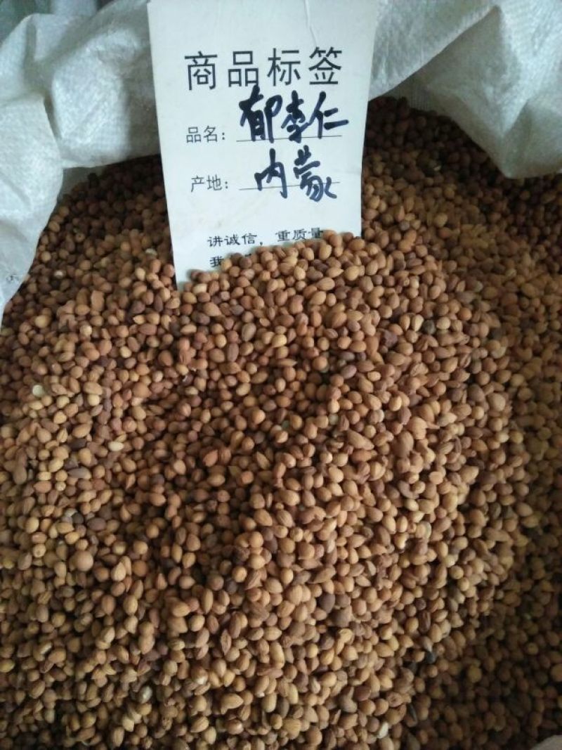 郁李仁