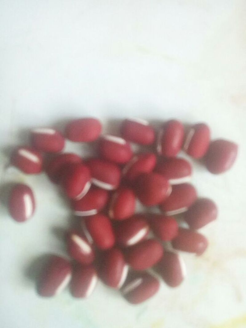 红小豆散装