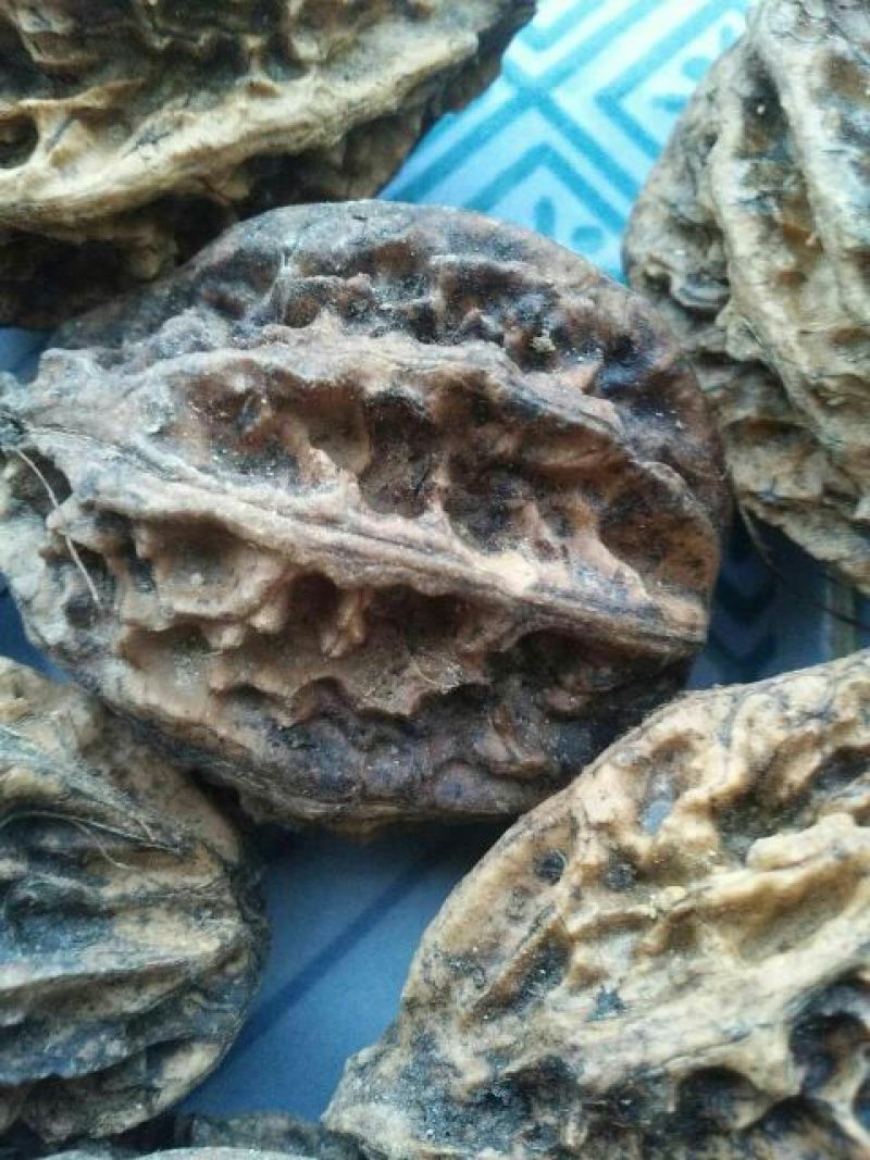 野生核桃去皮干