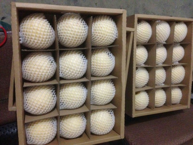 黄金梨300~350g纸箱