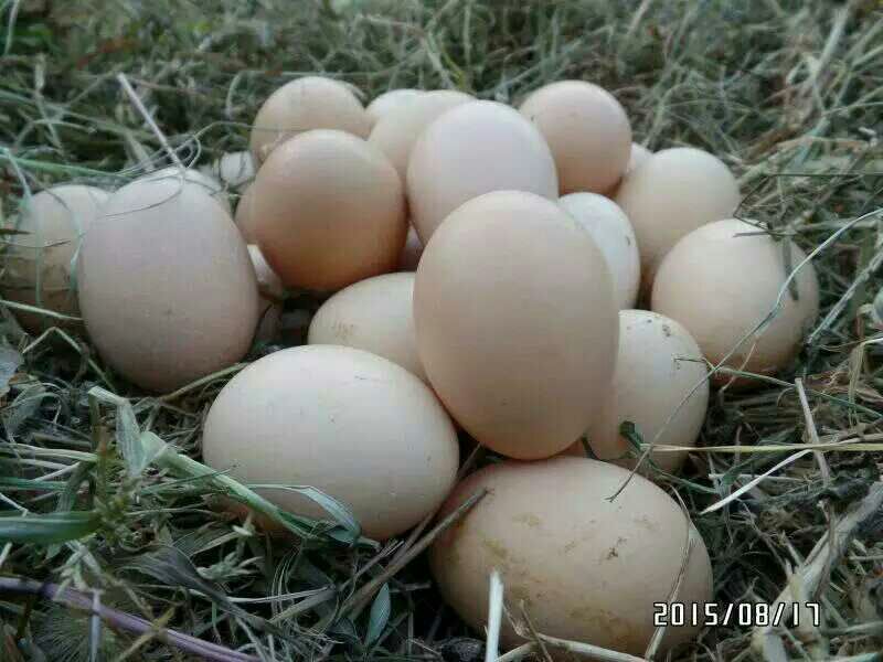 普通鸡蛋食用40~50g
