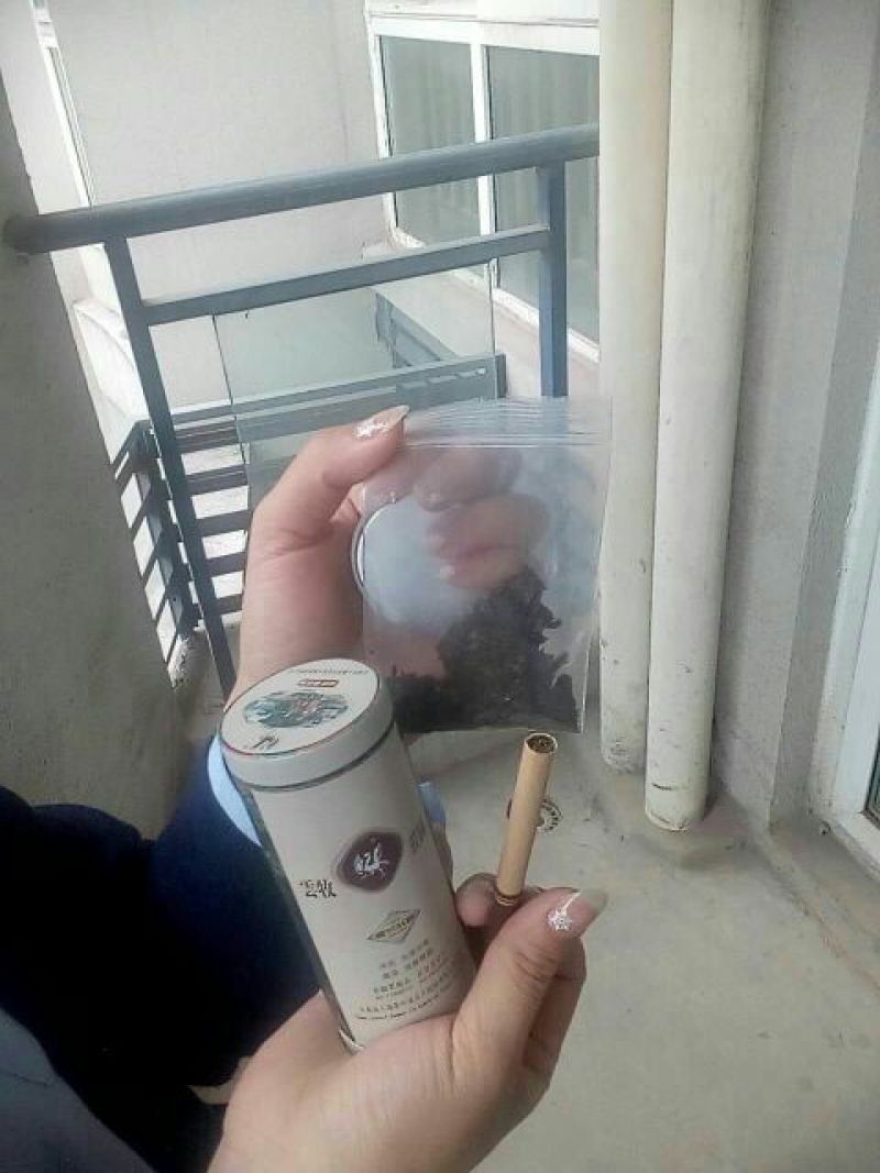 普洱茶紧压茶