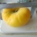 桃树苗80cm以上
