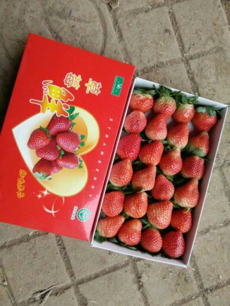 法兰蒂草莓20克以上