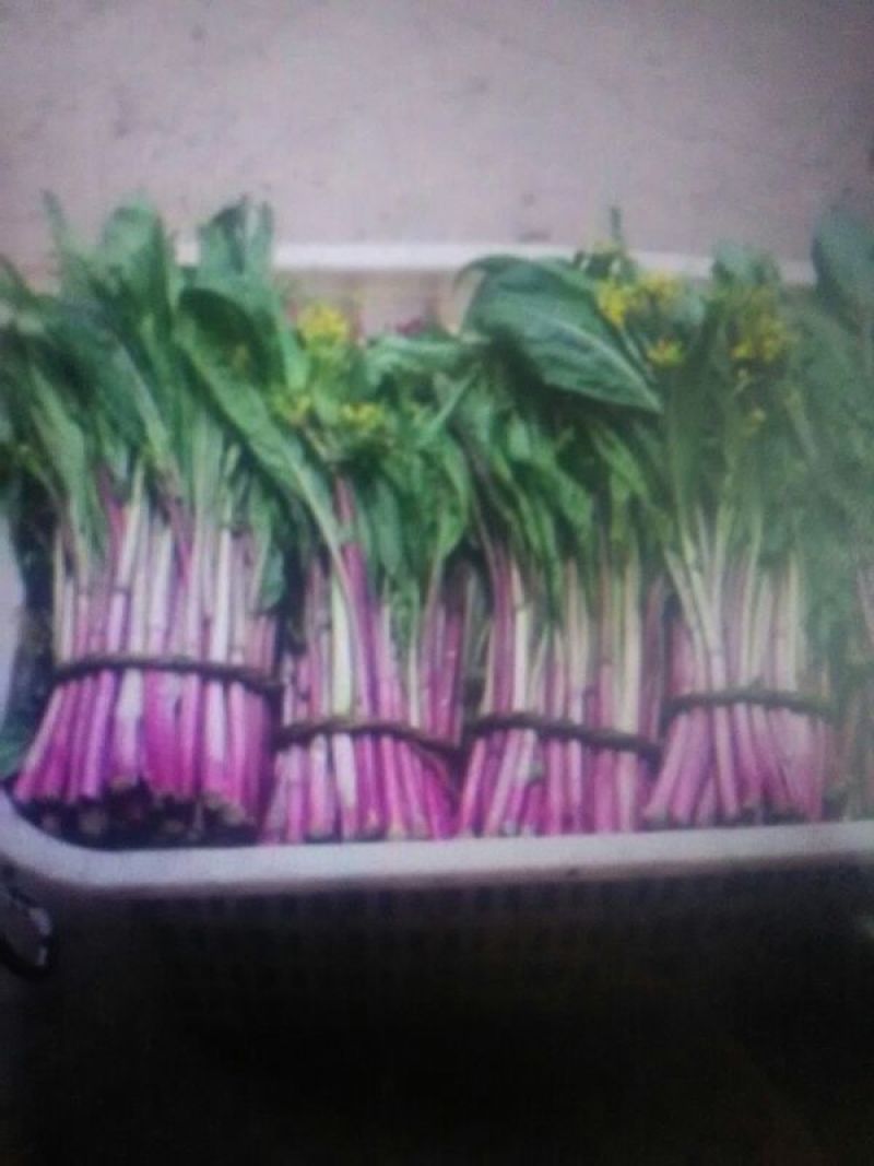 蔬菜