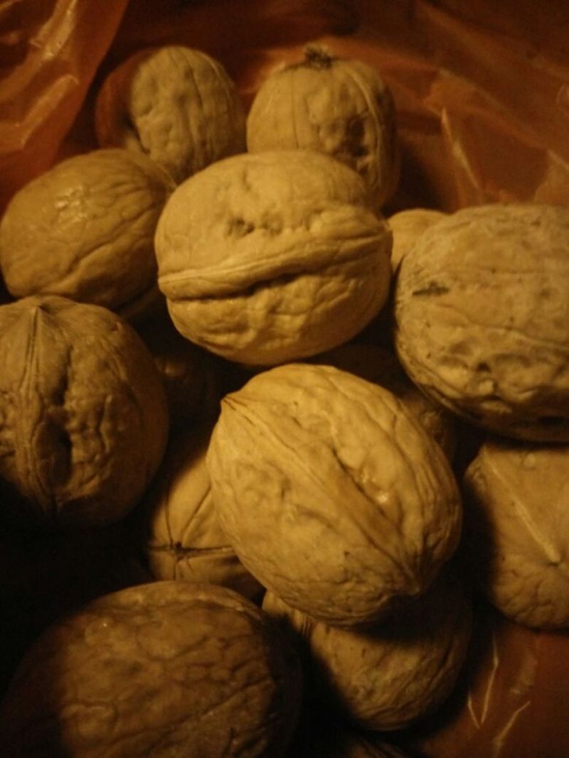 香玲核桃30mm以上去皮干