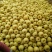 砀山梨350~400g筐装