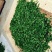 百年大树茶特级