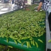 阿磊蔬菜合作社的一亩田店铺