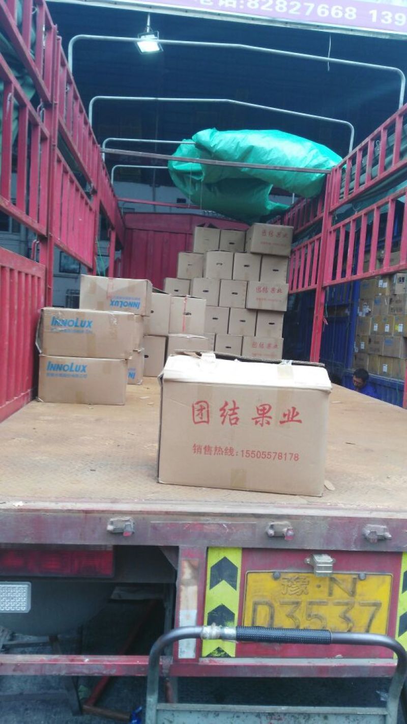 砀山梨250~300g纸箱