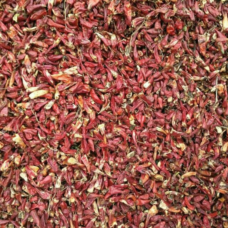 油椒干辣椒上通货8.5成干