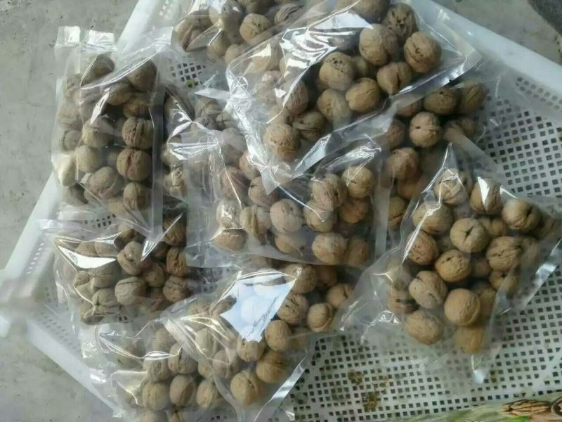 薄皮核桃30mm以上去皮