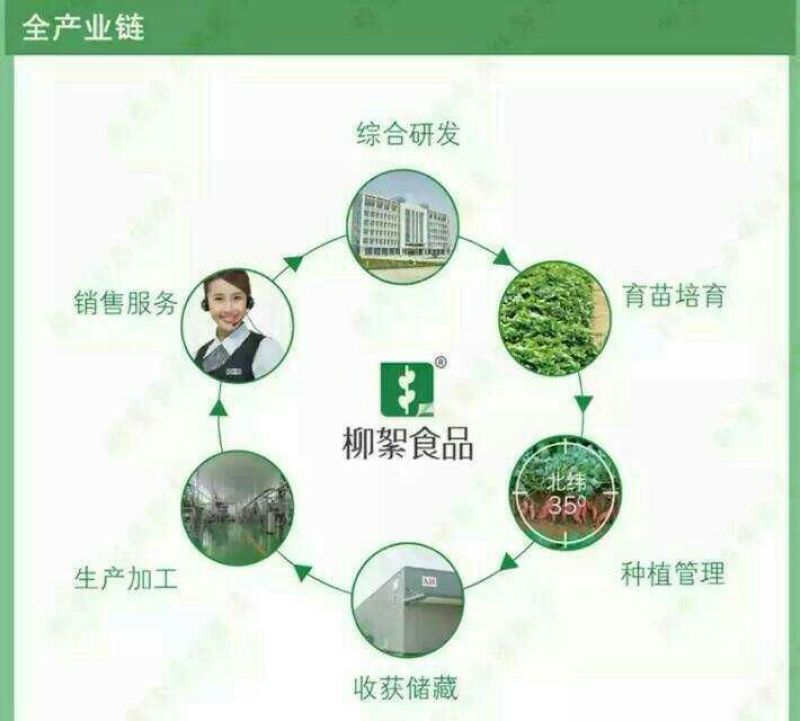 红薯粉条中粉